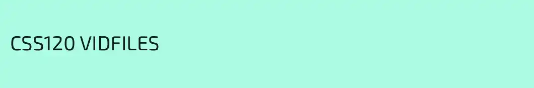 CSS120 VIDFILES